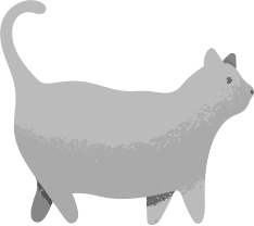 cat illustration